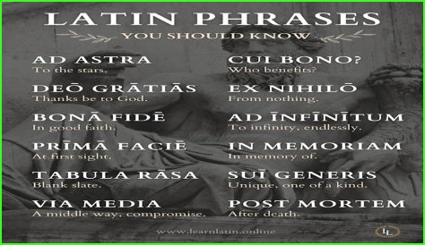 A Profile Of A Latin Beauty